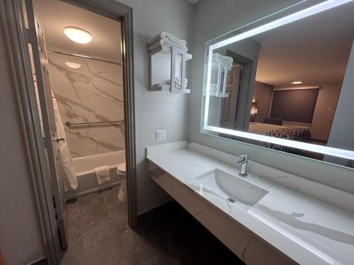 a bathroom with a sink and a large mirror at Red Roof Inn Arlington - Entertainment District in Arlington