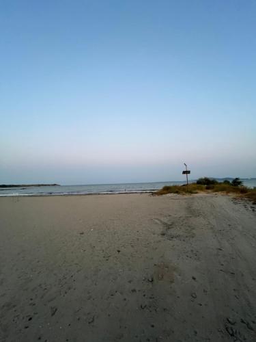 Phong cảnh thiên nhiên gần căn hộ