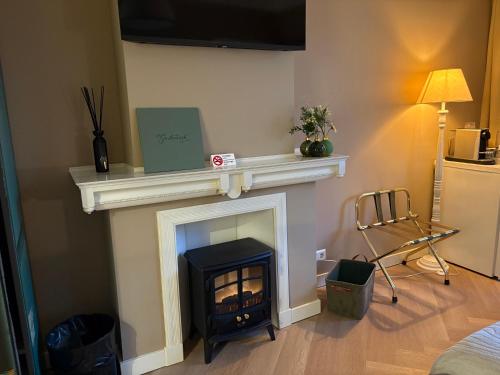 a living room with a fireplace and a chair at Morelstraat in The Hague