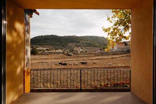 een uitzicht vanuit een raam van een veld met paarden bij El Calar - Casas Rurales Luis in Moratalla