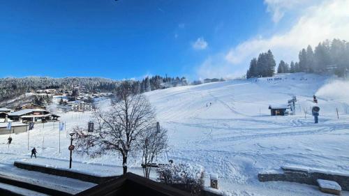 Résidence Lou Baitandys - Lou Baitandys - T2 au pied des pistes et au centre du village MAE-1321