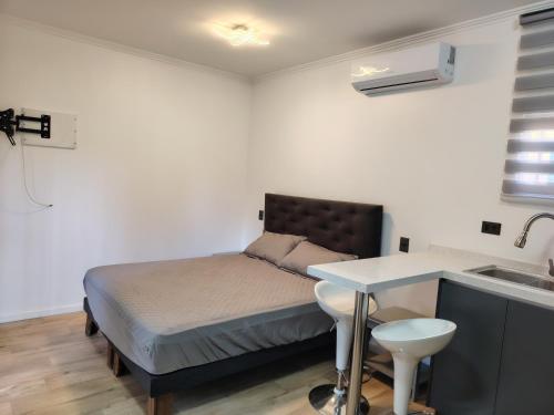 a small bedroom with a bed and a sink at Lodge De Paradies in Quilpué