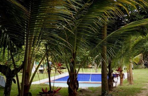 een groep palmbomen naast een zwembad bij El Paraíso in Rivera