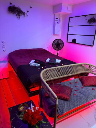 Love 2 avec Jacuzzi photo 25