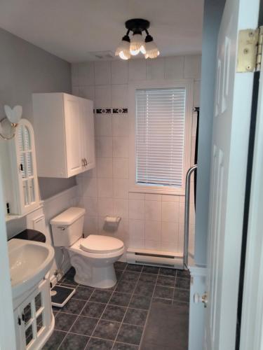 a bathroom with a toilet and a sink at Waterfront apartment in Gatineau