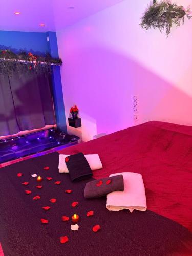 Love 2 avec Jacuzzi photo 23