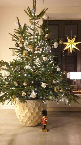 Billede fra billedgalleriet på ArtApart i Strzelce Opolskie