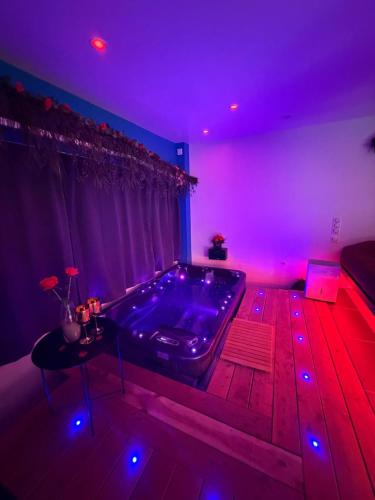 Love 2 avec Jacuzzi photo 21