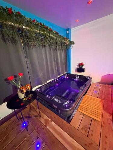 Love 2 avec Jacuzzi photo 15