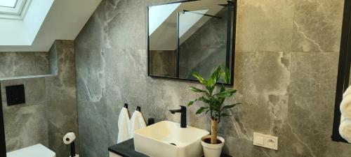 a bathroom with a sink and a mirror at Wilga House 1 in Piła