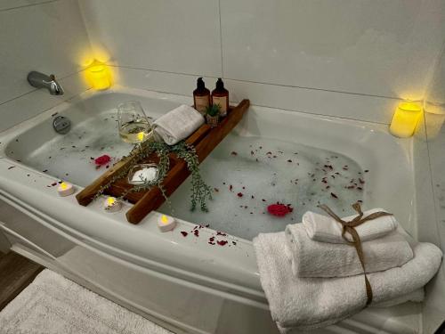 Billede fra billedgalleriet på Pony Trail i Collingwood