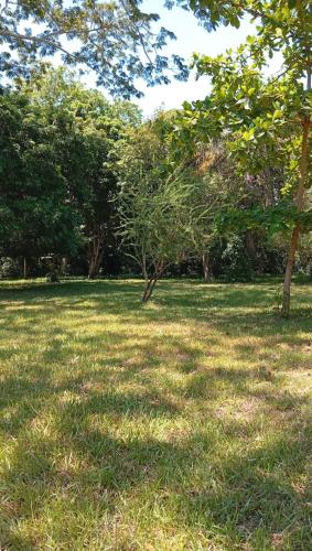 a field of grass with trees in the background at ParadiseLost Camping Ground in Kwale