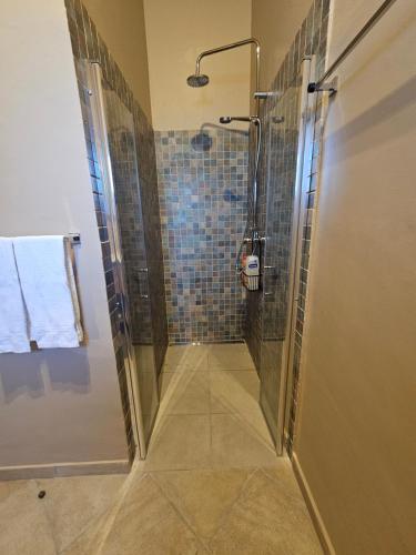 a shower with a glass door in a bathroom at villa yvonne,private pool,private parking 1,7 km from the beach in Albufeira