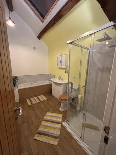 een badkamer met douche, wastafel en toilet bij Langway in Gatebeck