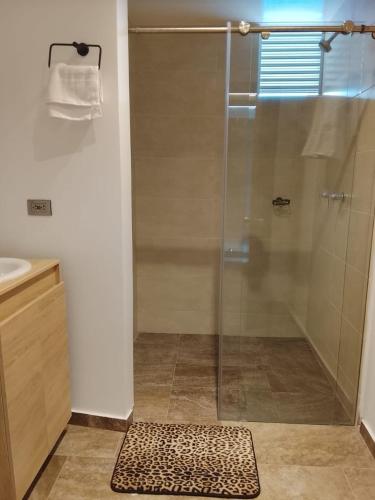 a shower with a glass door in a bathroom at Majestic Hotel in Ipiales