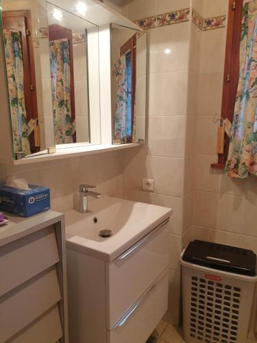 a bathroom with a sink and a mirror at Logement du Bois de Chaubon in Fillinges