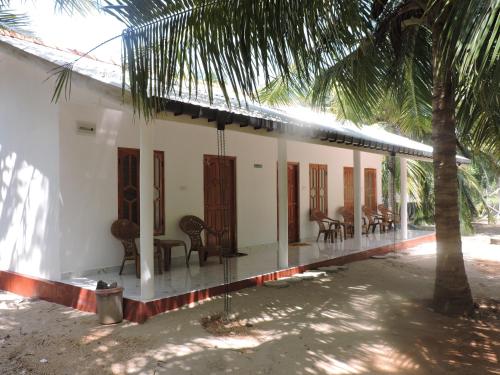 a house with chairs and a palm tree in front of it at Gopalapuram Guest House in Nilaveli
