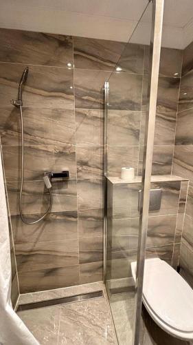 a bathroom with a shower with a toilet at Appartement t1 aiguebelle in Randens