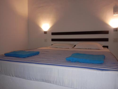 Postel nebo postele na pokoji v ubytování Hotel Asha safari