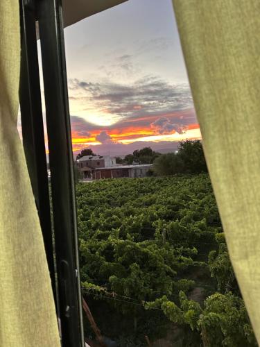 Naturlandschaft in der Nähe des Aparthotels