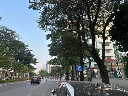 河内Quảng Ninh 501DM的一辆汽车沿着树木茂密的城市街道行驶