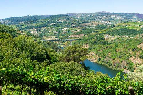 a view of a river with a bridge in the background at Cherry Douro Hill in Resende