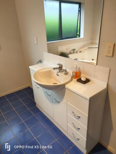a bathroom with a sink and a mirror at House On The Hill in Hamilton