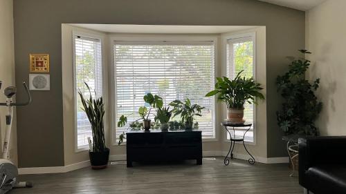 a living room with potted plants in front of a window at Private Rooms in a 3 Bedroom Guest House Close to Londonderry Mall 1 Person per Room No Couples For Men Only in Edmonton