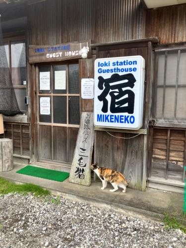 a cat standing outside of a building with a sign at Ioki Station Guest House in Aki