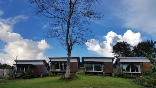 a house with a tree in front of it at C-HILL@KHAOKHO in Khao Kho