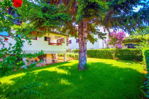 Apartment Pinia