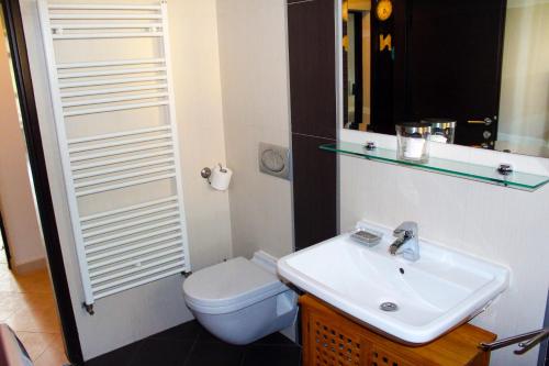 a bathroom with a sink and a toilet at Apartment Pinia in Poreč