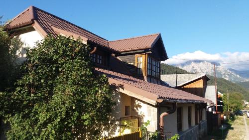 a house with a tree in front of it at Cabana Tei in Azuga