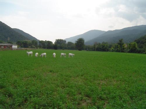 Paesaggio naturale nelle vicinanze dell'agriturismo