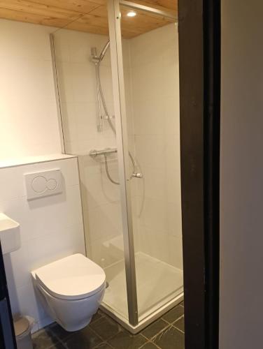 a bathroom with a toilet and a glass shower at Oude-Tonge holiday house near fishing waters in Oude-Tonge