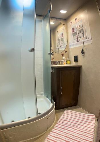 ein Badezimmer mit Dusche und Waschbecken in der Unterkunft Cozy camper in Dunnellon