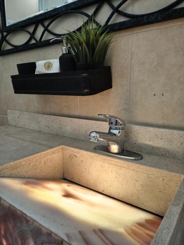 a bathroom sink with a faucet and a plant at Aroma Hotel in Puebla