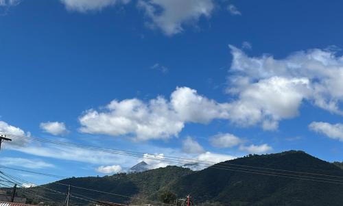 Naturlandskabet i nærheden af lejligheden