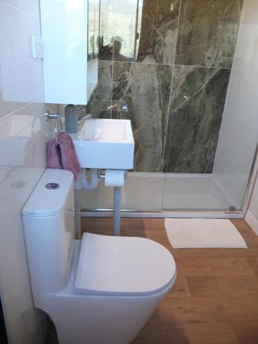 a bathroom with a toilet and a sink and a shower at Little Birdy in Tawonga