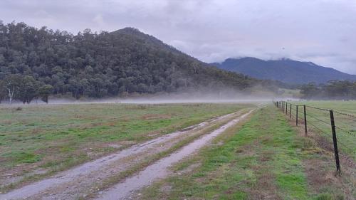 a dirt road in a field with a fence at Little Birdy in Tawonga