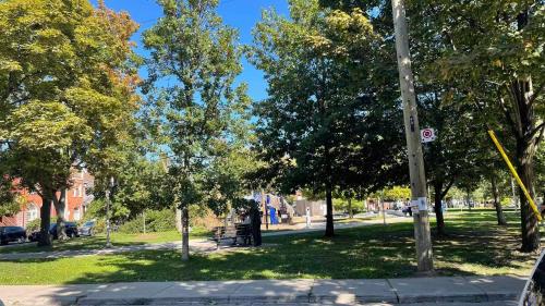 een park met bomen en een bank in het gras bij warm heart toronto in Toronto