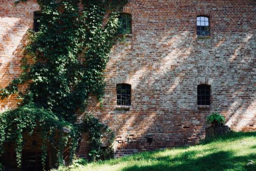 En have udenfor Dom Przemian