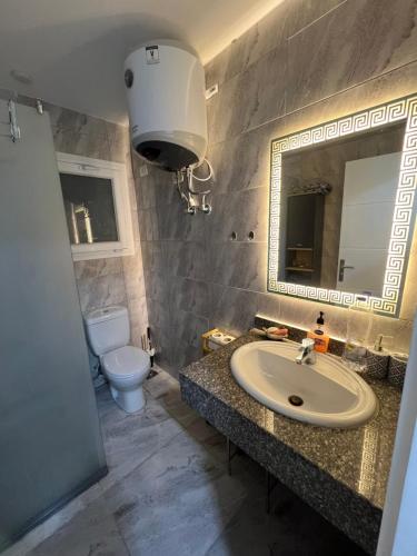 ein Badezimmer mit Waschbecken, Toilette und Spiegel in der Unterkunft Alaydin in Hurghada