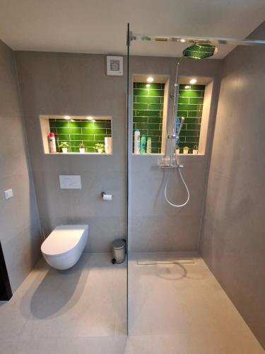a bathroom with a toilet and a glass shower at La casa Pacha Mama Sauna en Hottub in Ewijk