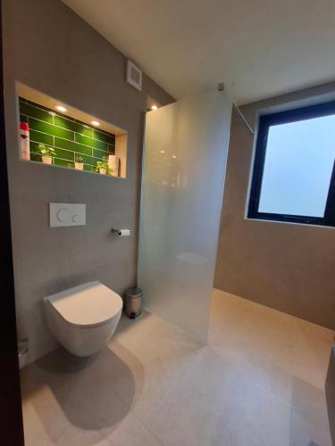 a bathroom with a toilet and a shower with a window at La casa Pacha Mama Sauna en Hottub in Ewijk