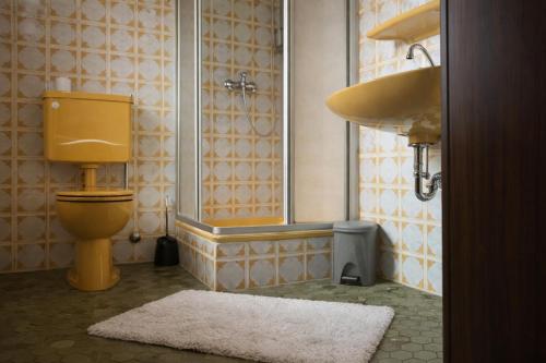 une salle de bains avec toilettes, douche et lavabo dans l'établissement Pension zur Quelle, à Deudesfeld