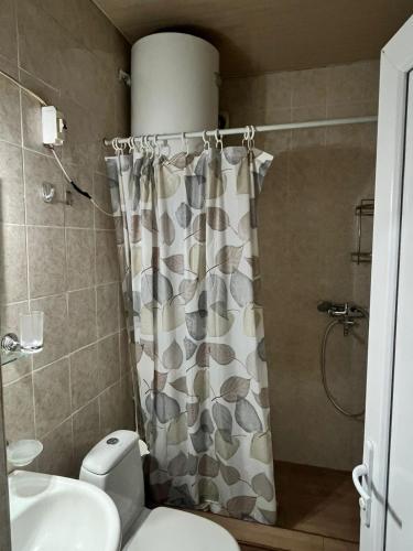 a bathroom with a shower curtain and a toilet at Family Studio in Gudauri