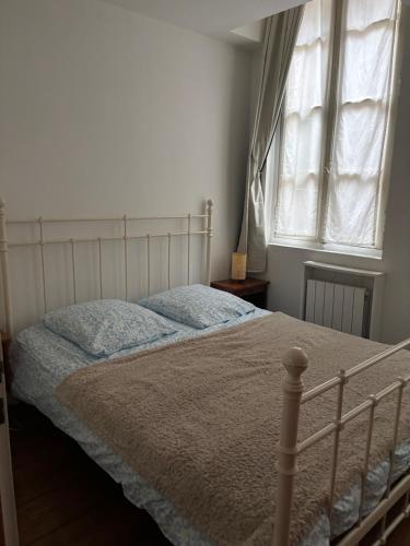 Joli appartement très calme en hypercentre, à côté du tram