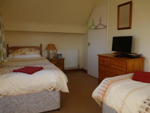 1 dormitorio con 2 camas y un tocador con TV en Cosy Twin Room in Brecon, en Brecon