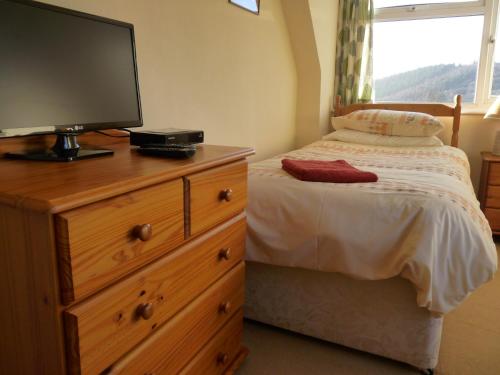 Dormitorio con cama y tocador con TV en Cosy Twin Room in Brecon, en Brecon